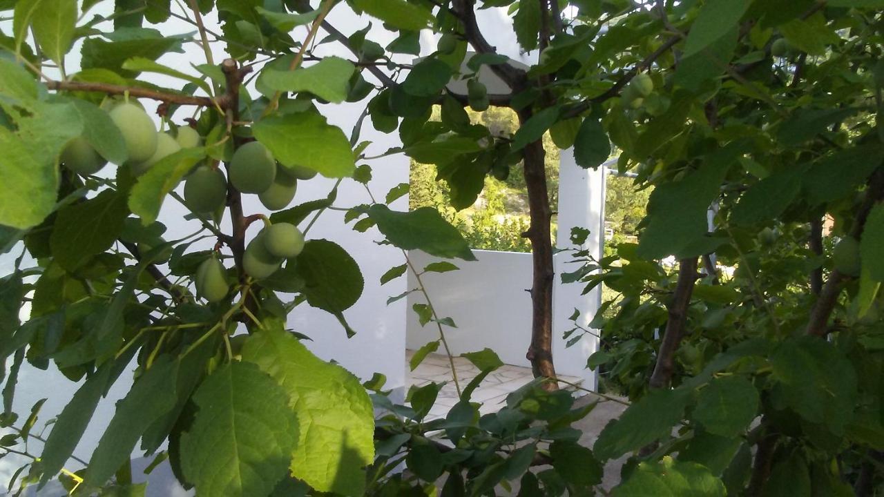 הוילה Kučiće Kuca Za Odmor Maka מראה חיצוני תמונה