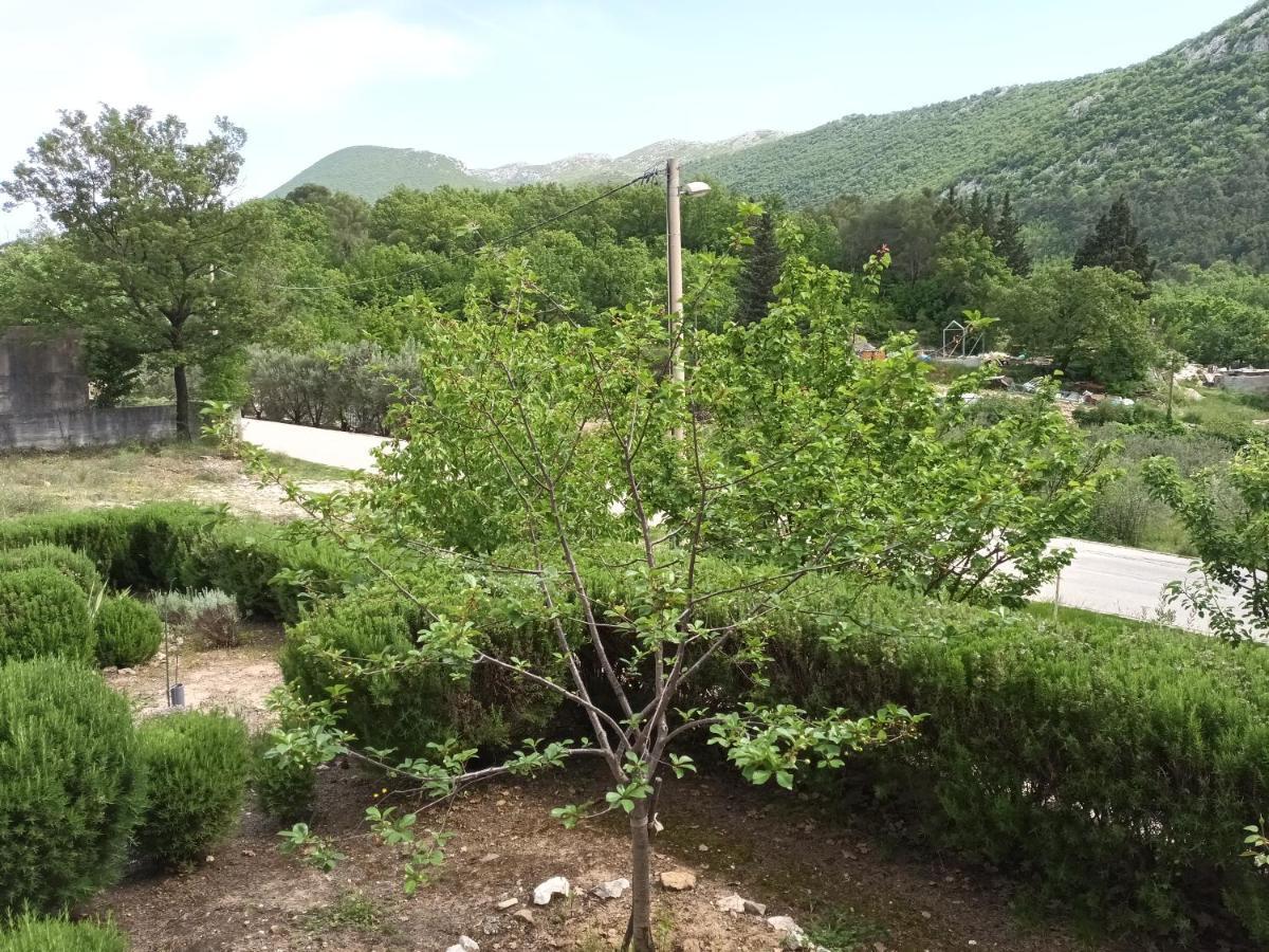 הוילה Kučiće Kuca Za Odmor Maka מראה חיצוני תמונה